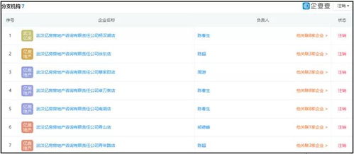 湖北消金合作方為客戶擔保引發關注，法院判決書揭示最高收取2%服務費