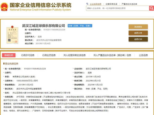 武漢華創(chuàng)華麗轉(zhuǎn)身 從中乙升班馬到“武漢江城”的戰(zhàn)略躍遷