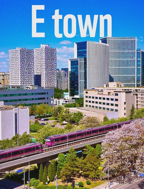 亦莊網(wǎng)站建設(shè) 權(quán)威觀(guān)點(diǎn)解讀與發(fā)展新趨勢(shì)