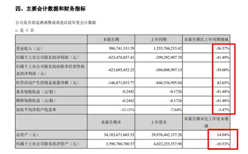 南國(guó)置業(yè)半年報(bào)分析 毛利率28.7%但仍虧損4.23億，物業(yè)管理業(yè)態(tài)承壓